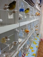 /album/%cf%84%ce%b1-%cf%80%ce%bf%cf%85%ce%bb%ce%ac%ce%ba%ce%b9%ce%b1-%ce%bc%ce%b1%cf%82/h-polikatoikia-jpg/